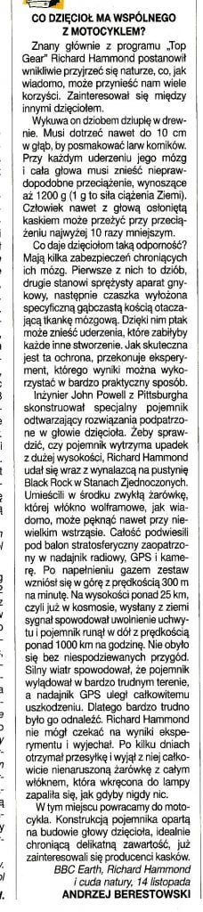 dzieciol